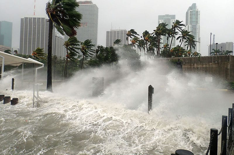 Flooded urban area with high-rise buildings in the background, swaying palm trees, and strong waves crashing against a waterfront during a storm.